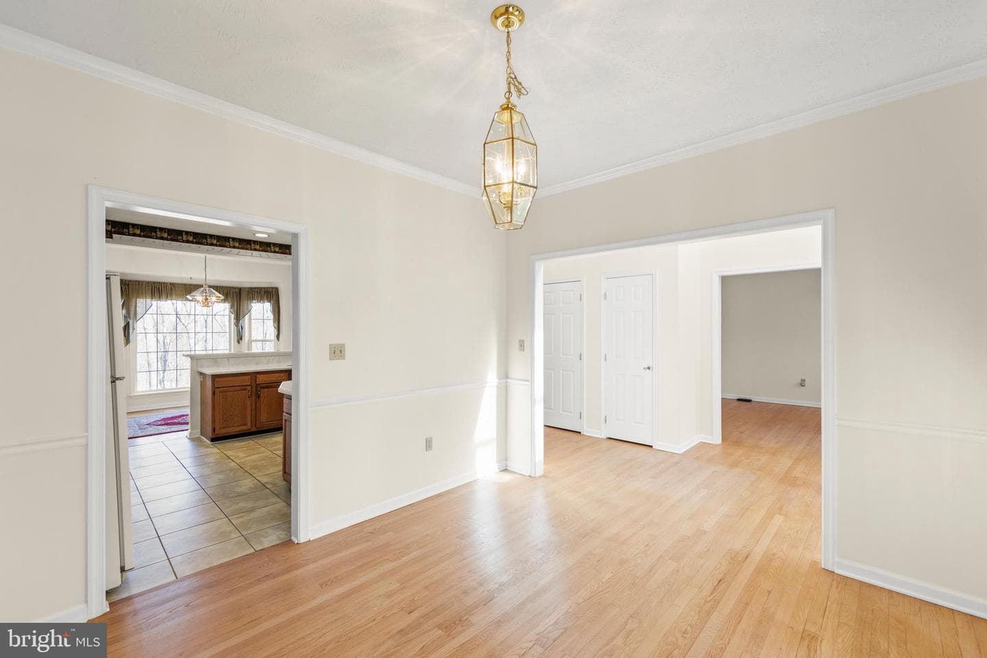 207 Cavalry Drive photo 9
