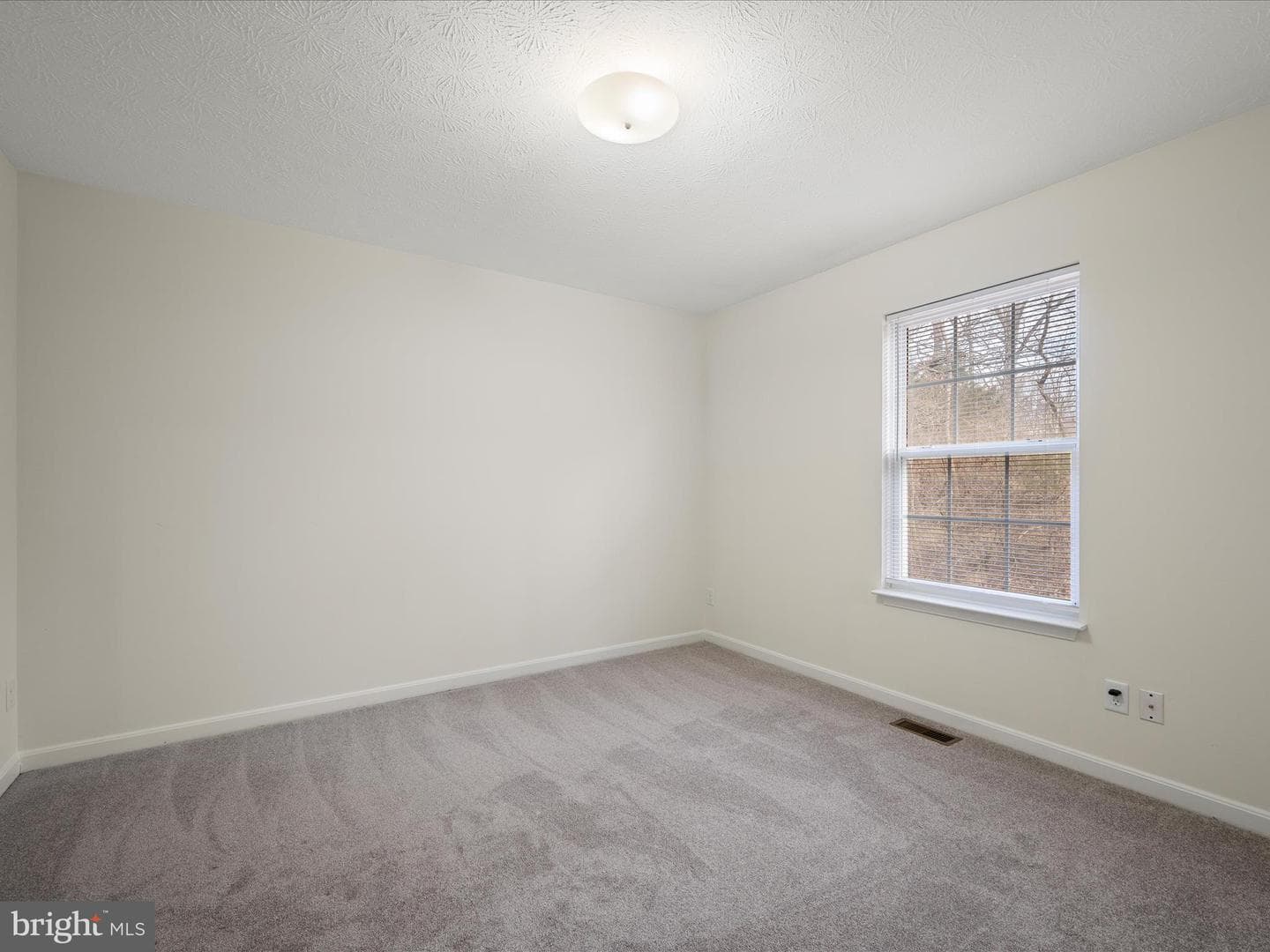 441 Ridgefield Avenue photo 15