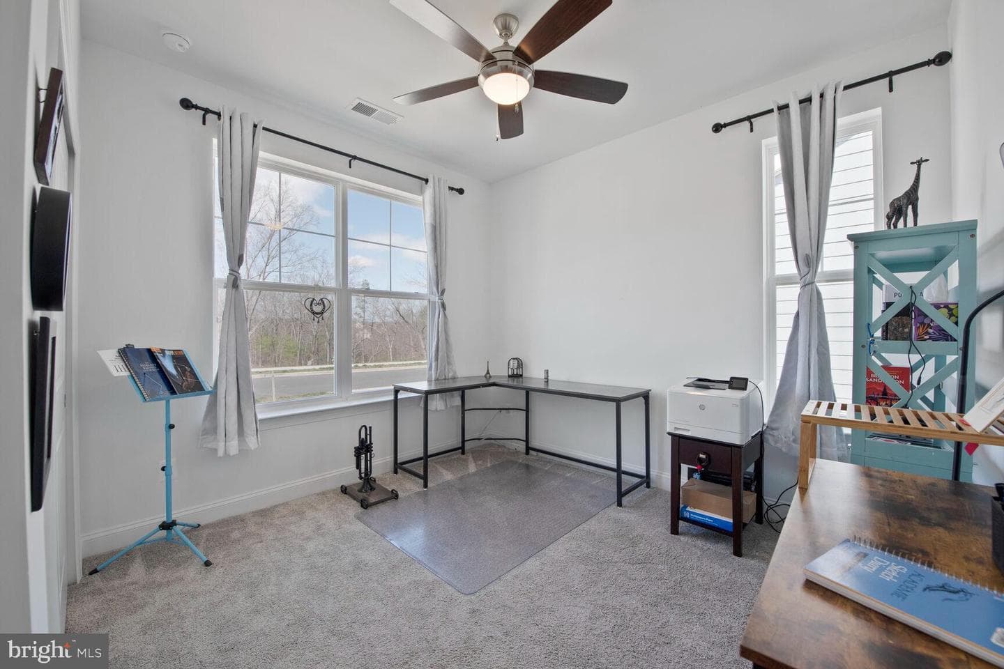 125 Cowbird Street photo 16