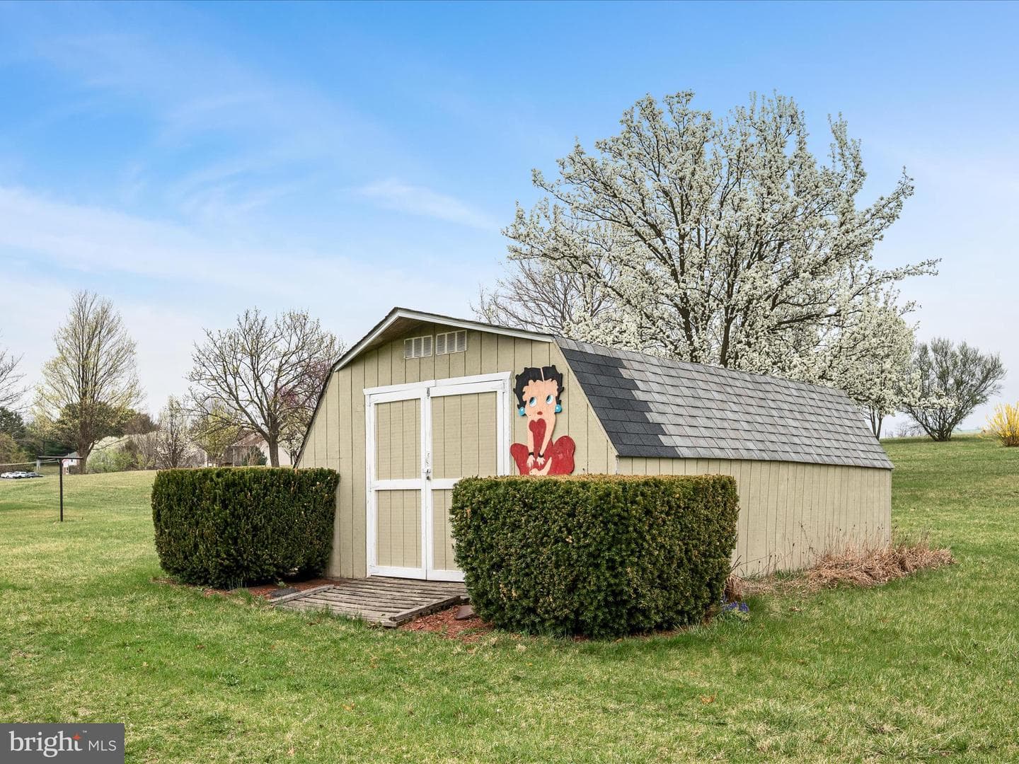 5321 Middle Road photo 50
