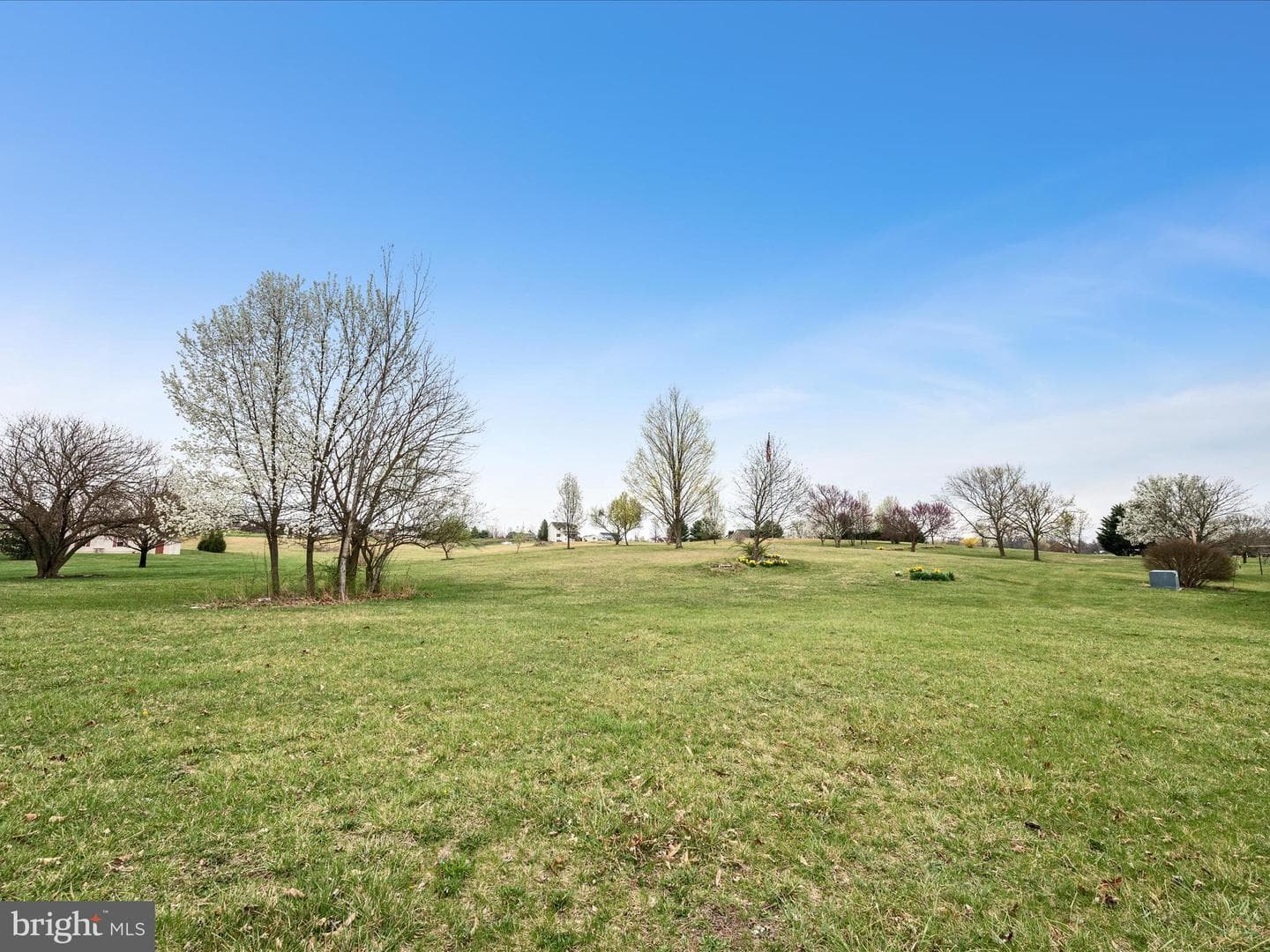 5321 Middle Road photo 56