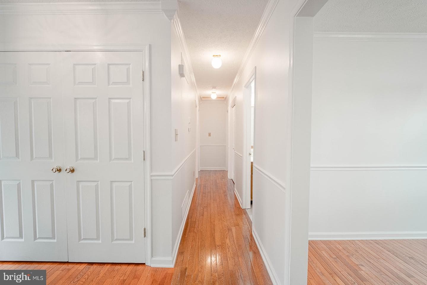 185 Isaac Drive photo 12