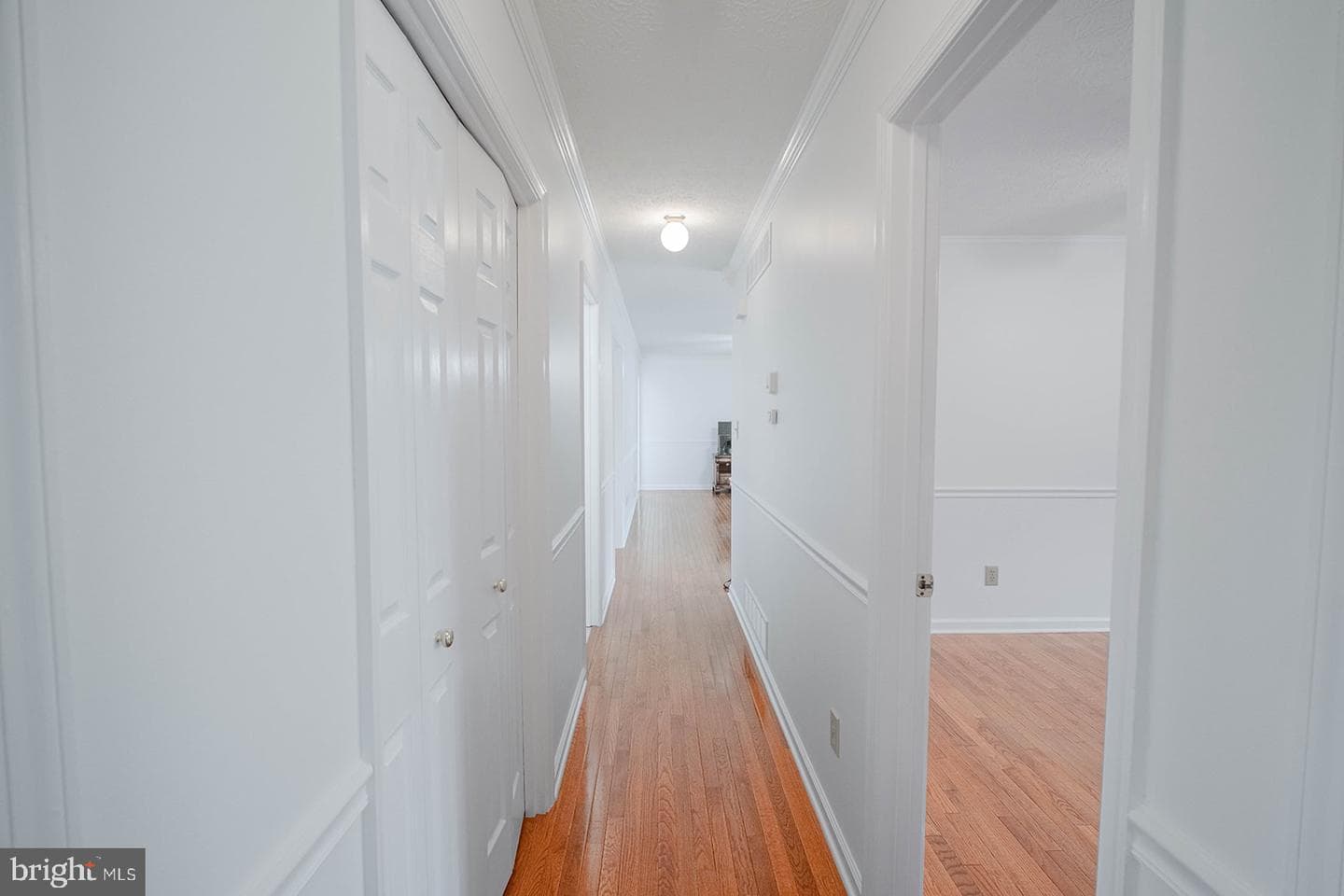 185 Isaac Drive photo 15