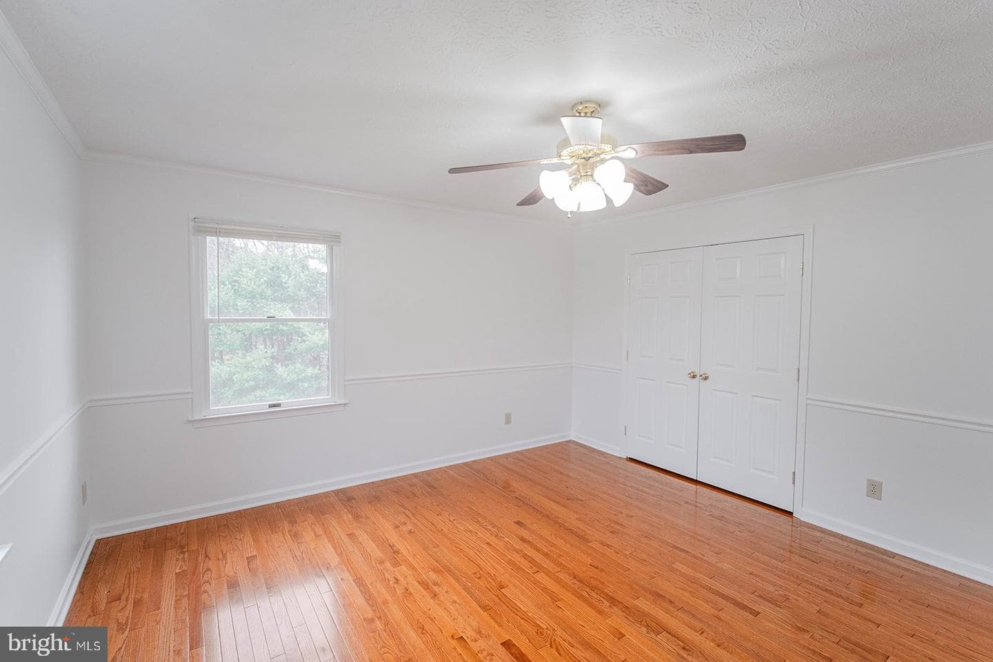 185 Isaac Drive photo 16