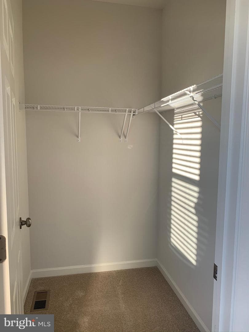 210 Parkland Drive photo 20