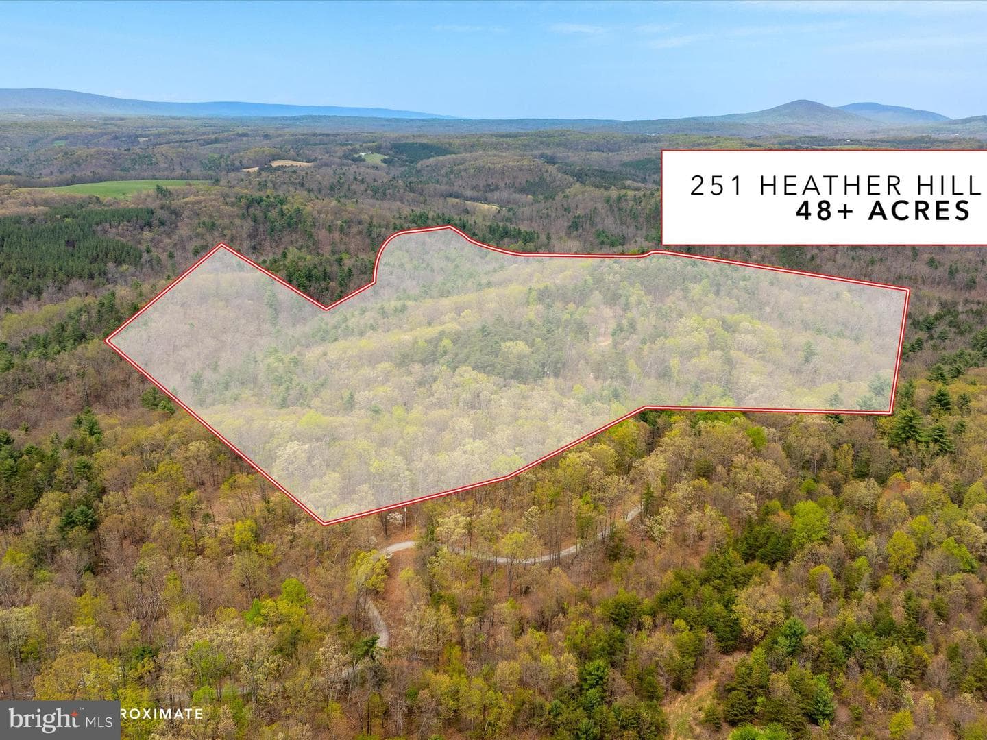 251 Heather Hill Lane photo 67