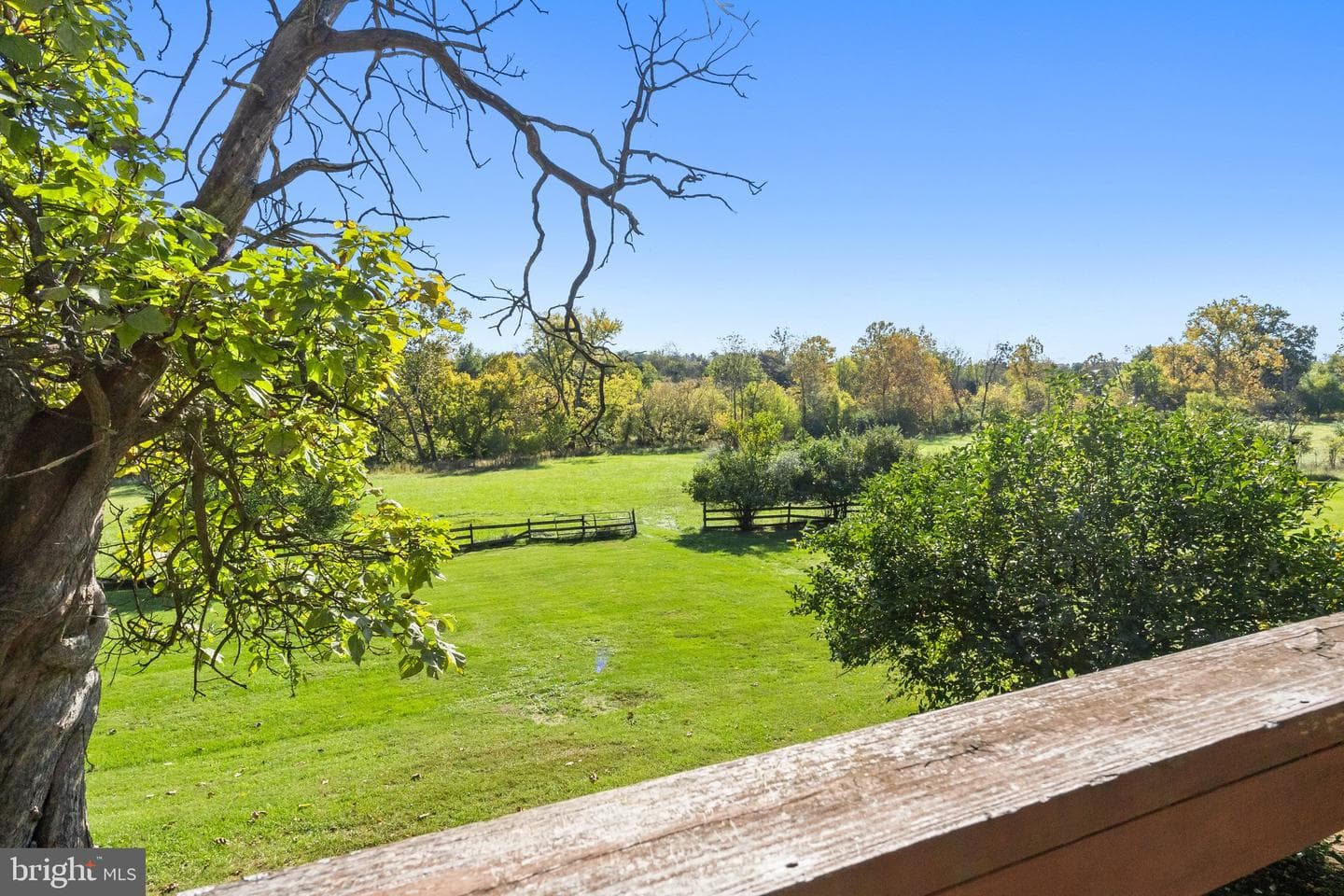 841 Shady Creek Road photo 28