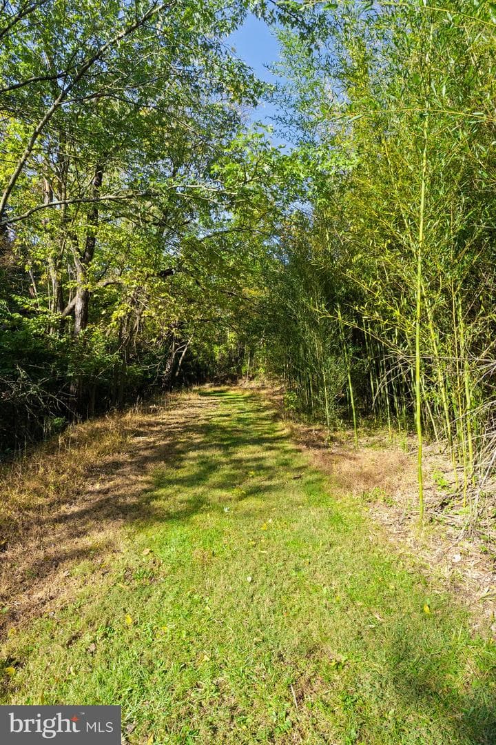 841 Shady Creek Road photo 57