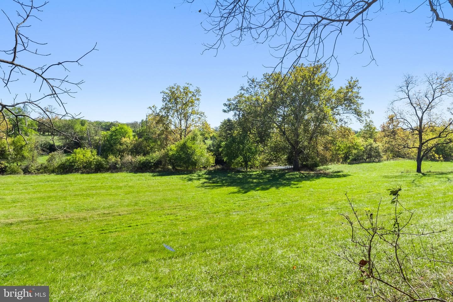 841 Shady Creek Road photo 60