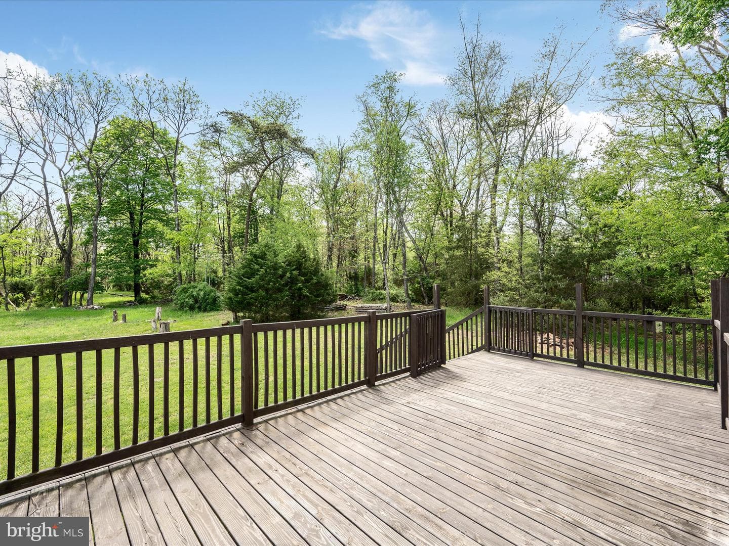 111 Cacapon Lane photo 3