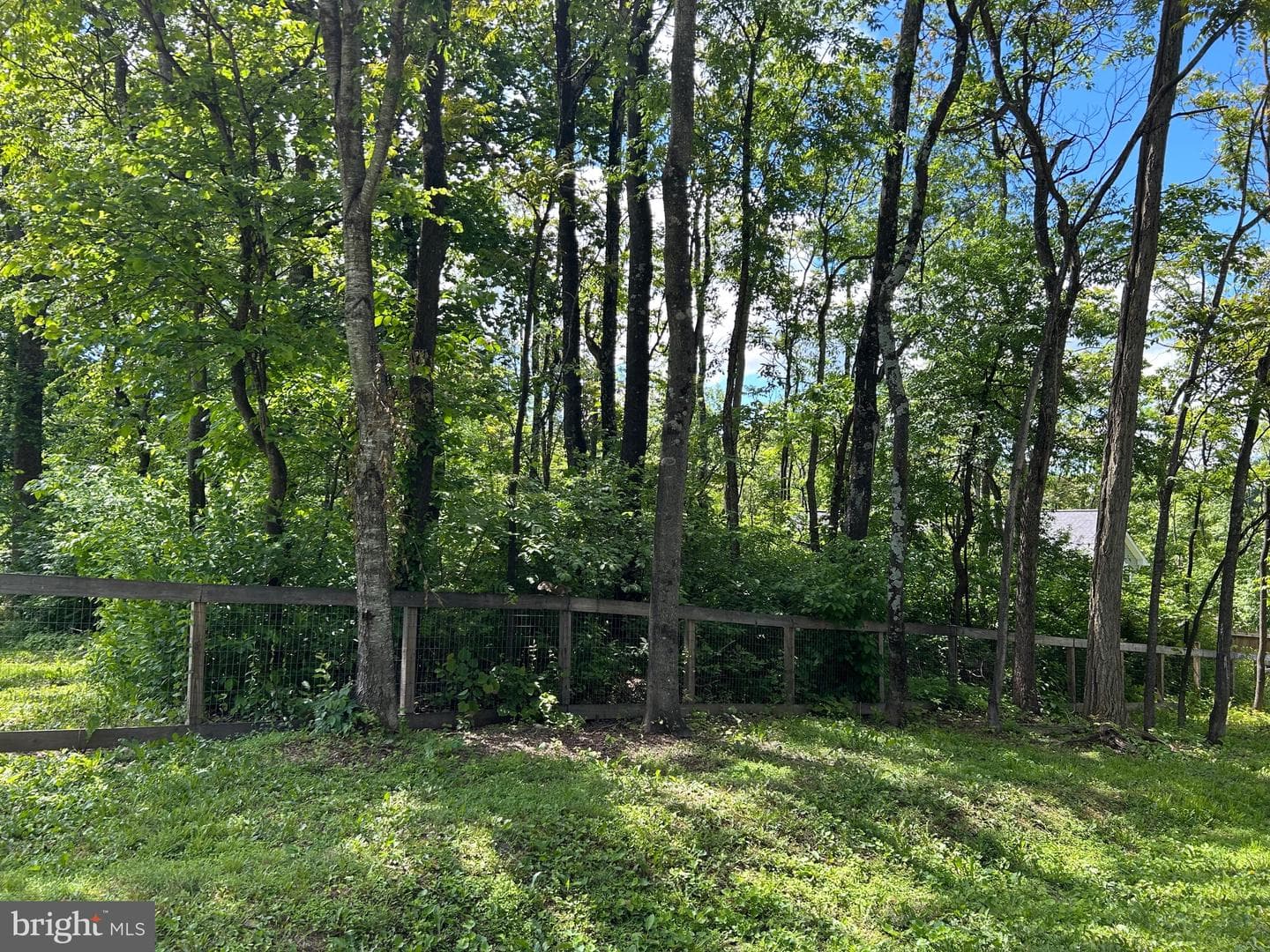 110 Braveheart Trail photo 49