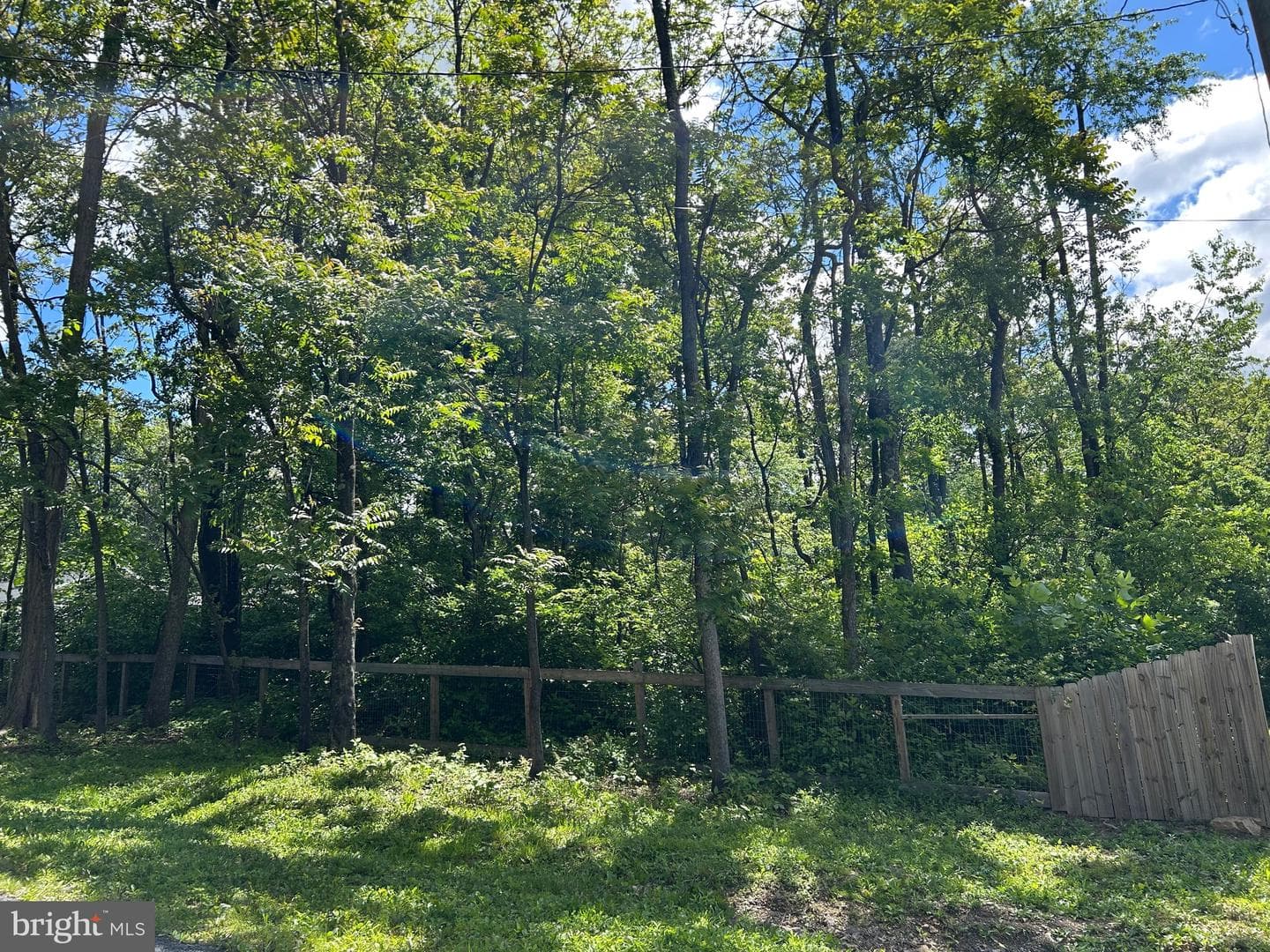 110 Braveheart Trail photo 50