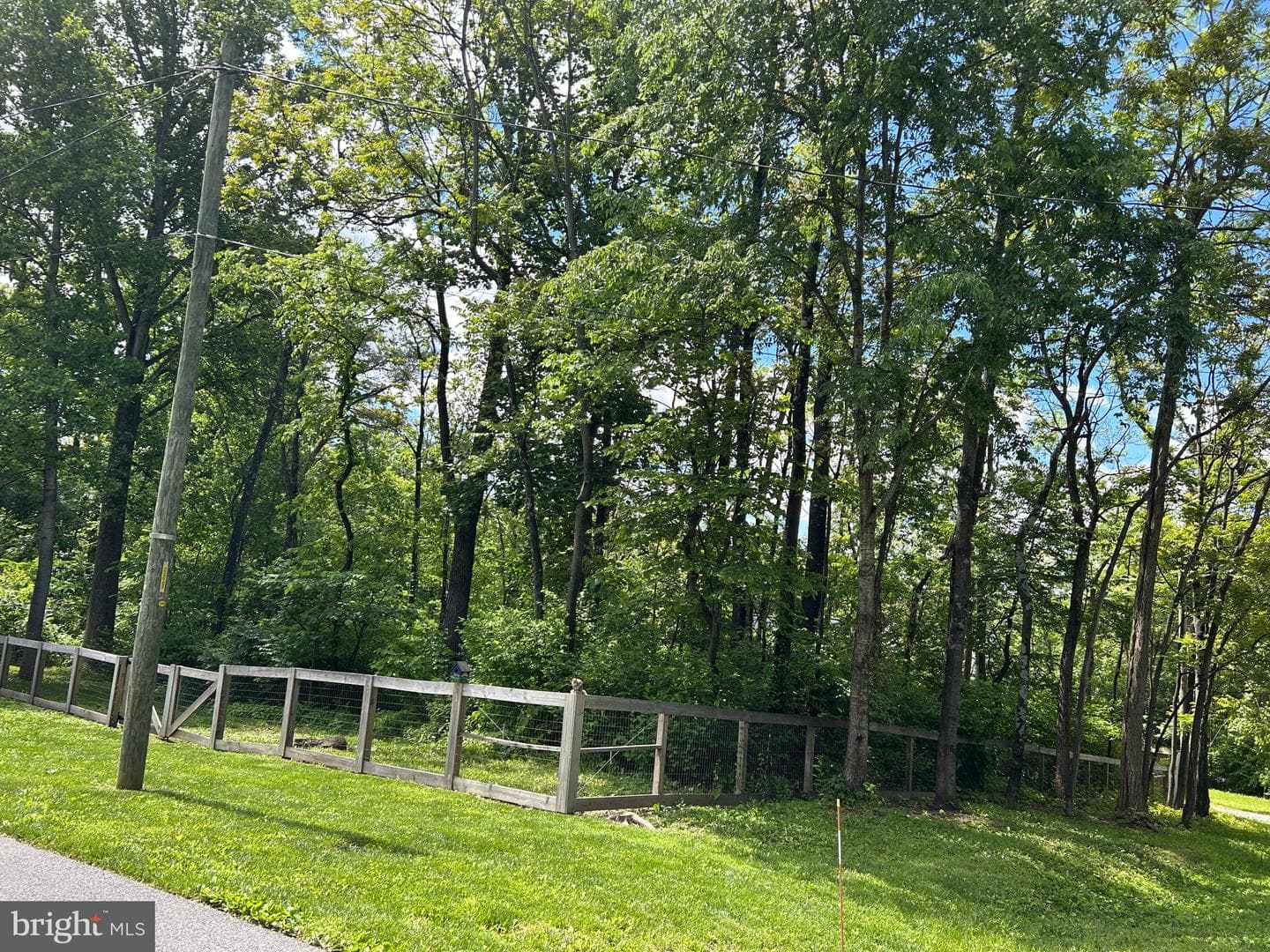 110 Braveheart Trail photo 52