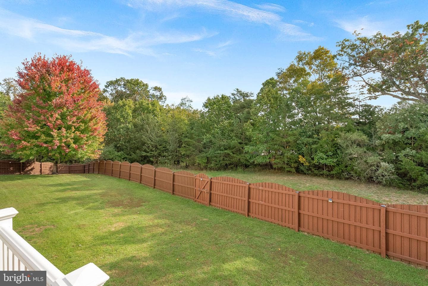 128 Wickham Terrace photo 32