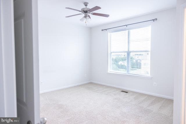 111 Kingsley Drive photo 5