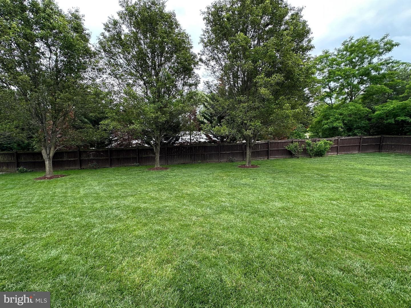 115 Steeplechase Lane photo 7