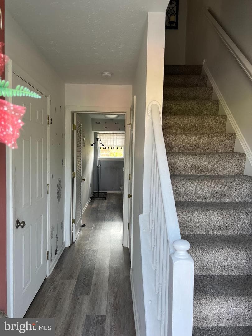 102 Zephyr Lane photo 6