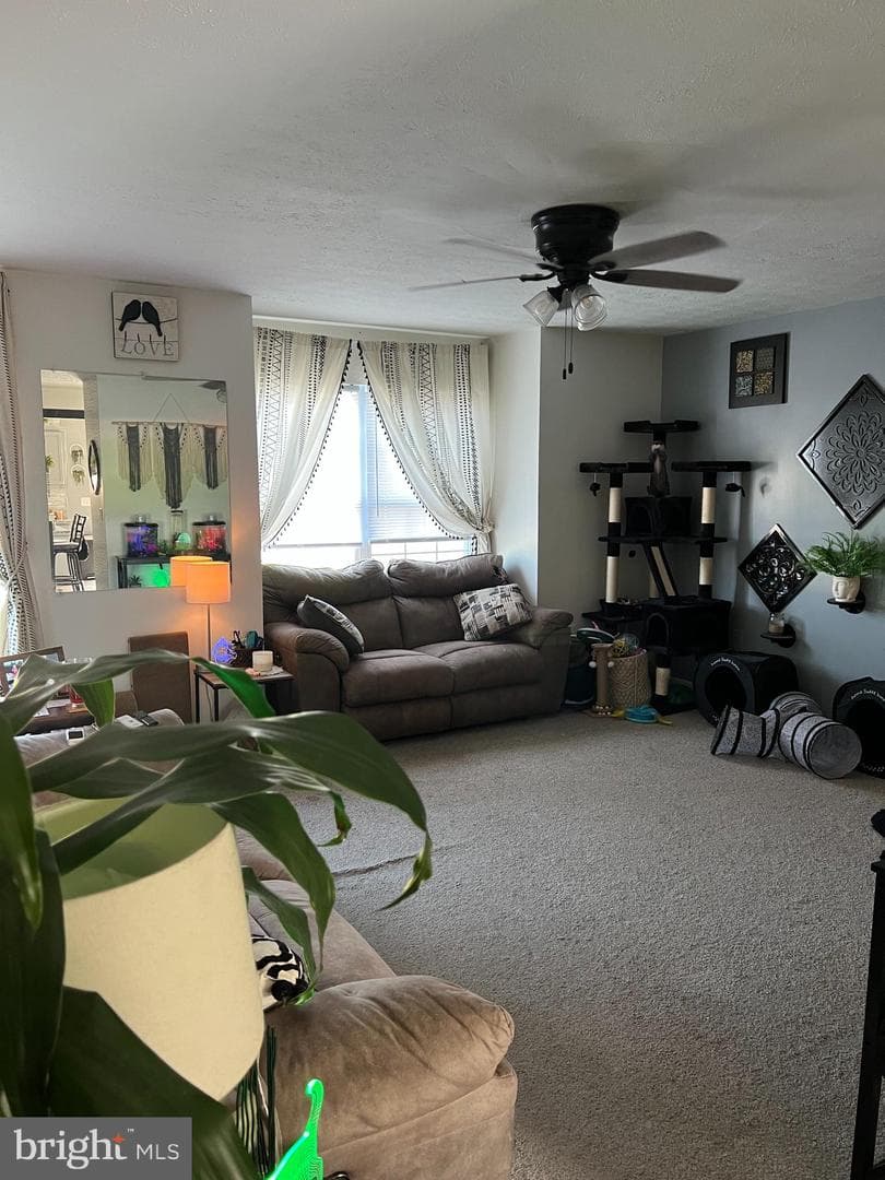 102 Zephyr Lane photo 8