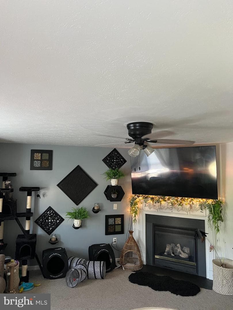 102 Zephyr Lane photo 9