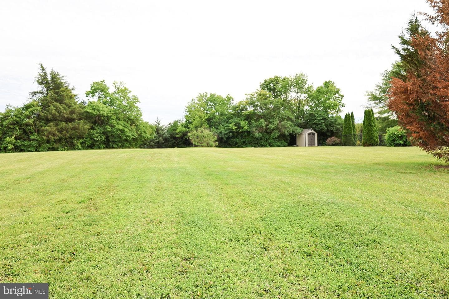 160 Ruebuck Road photo 58