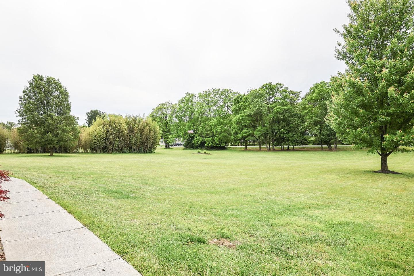 160 Ruebuck Road photo 7