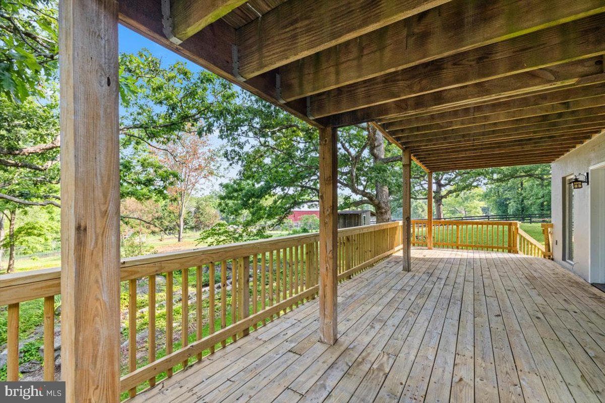 152 Lusitano Lane photo 24