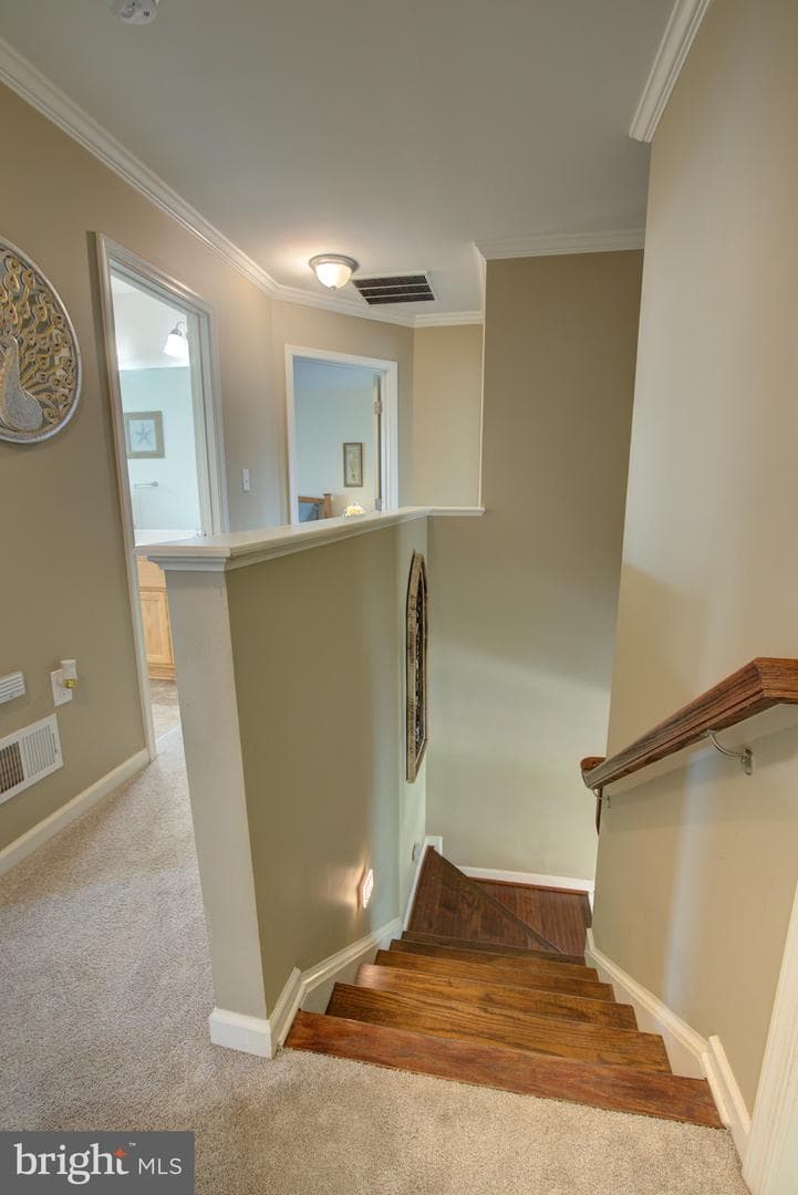 109 Taylor Court photo 46