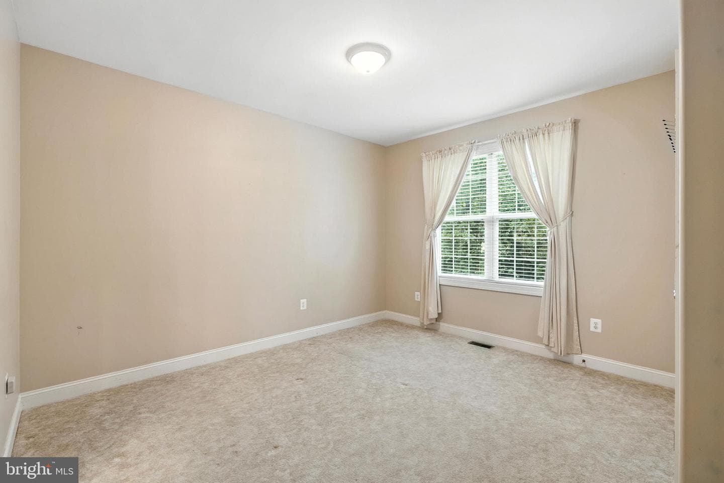 125 Dewberry Drive photo 20