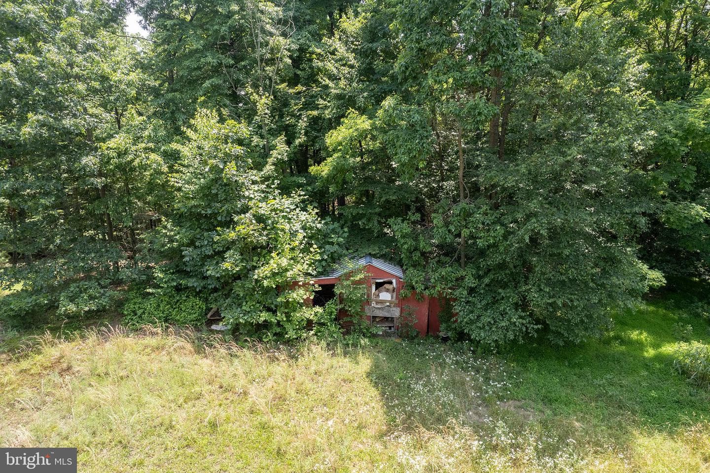 315 Brill Road photo 6