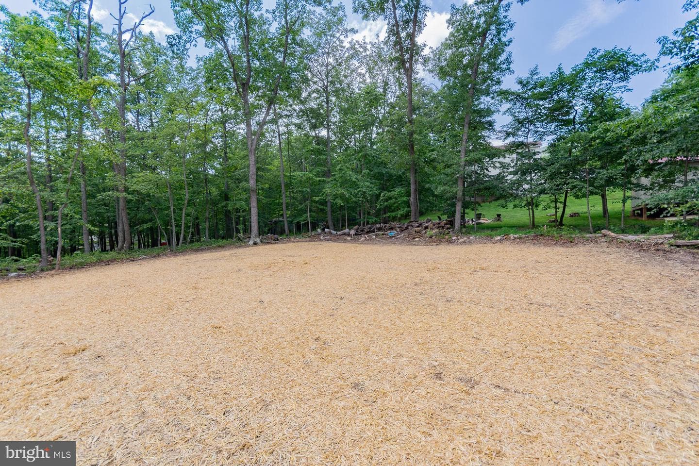 709 Panther Dr photo 27
