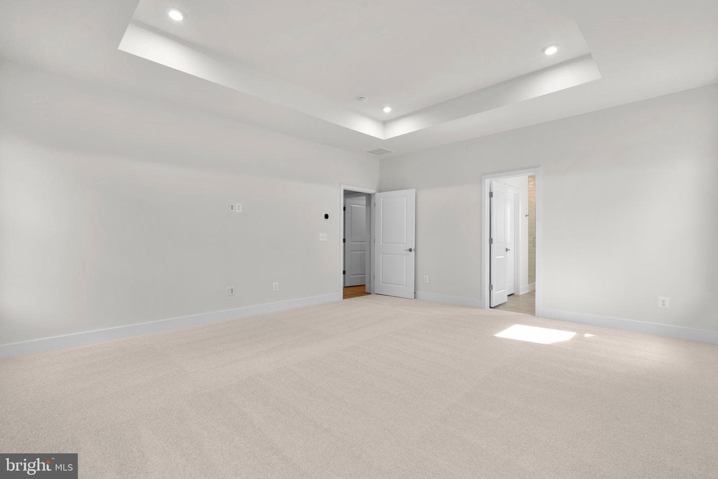 100 Alabaster Lane photo 25