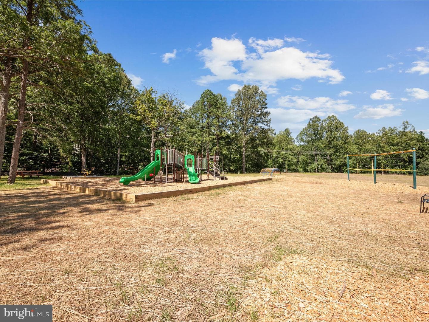 208 Opossum Trail photo 42