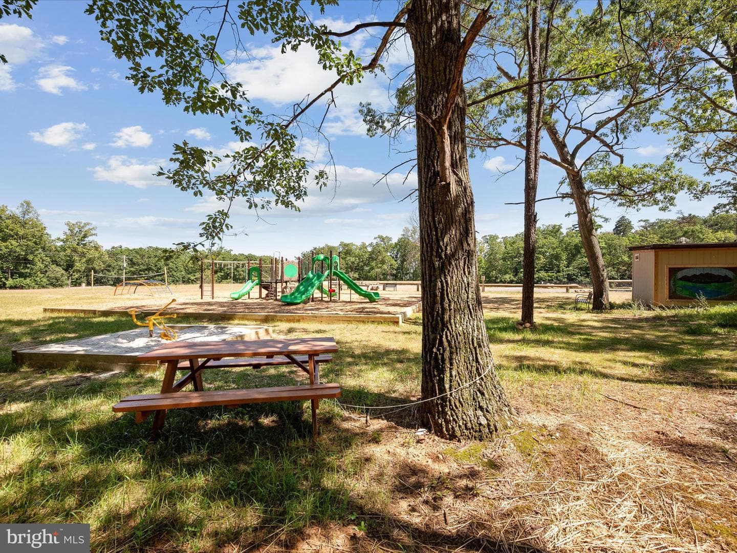 208 Opossum Trail photo 44