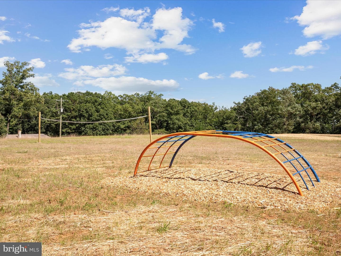 208 Opossum Trail photo 47