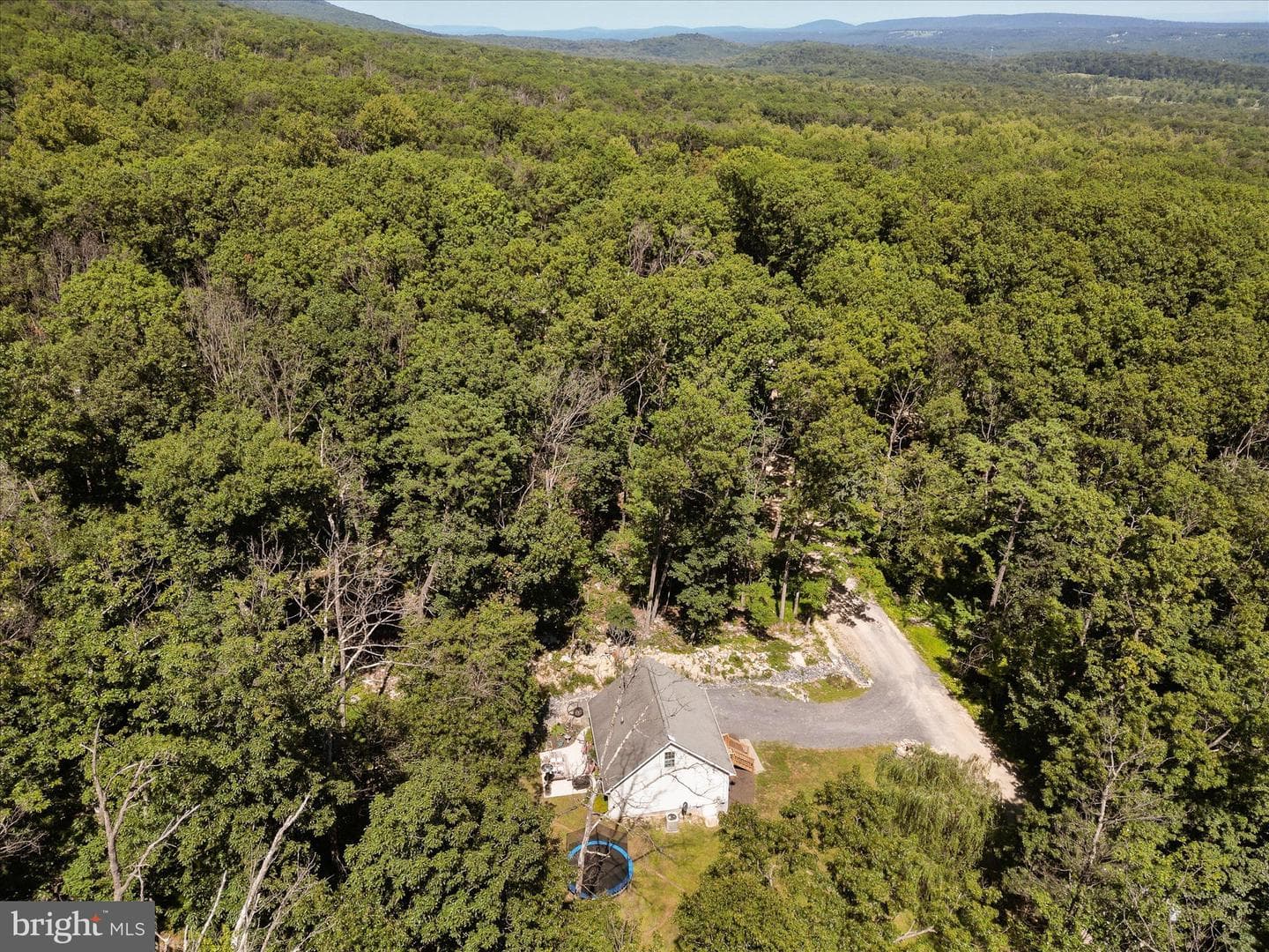 208 Opossum Trail photo 56
