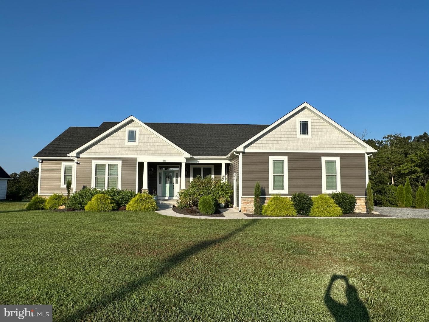 650 Gough Road photo 4