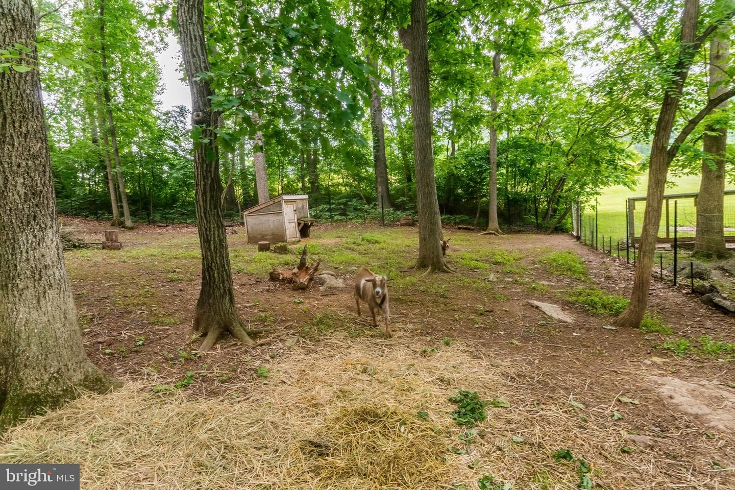 430 Saddleback Lane photo 31