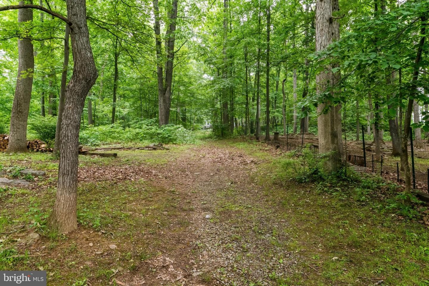 430 Saddleback Lane photo 32