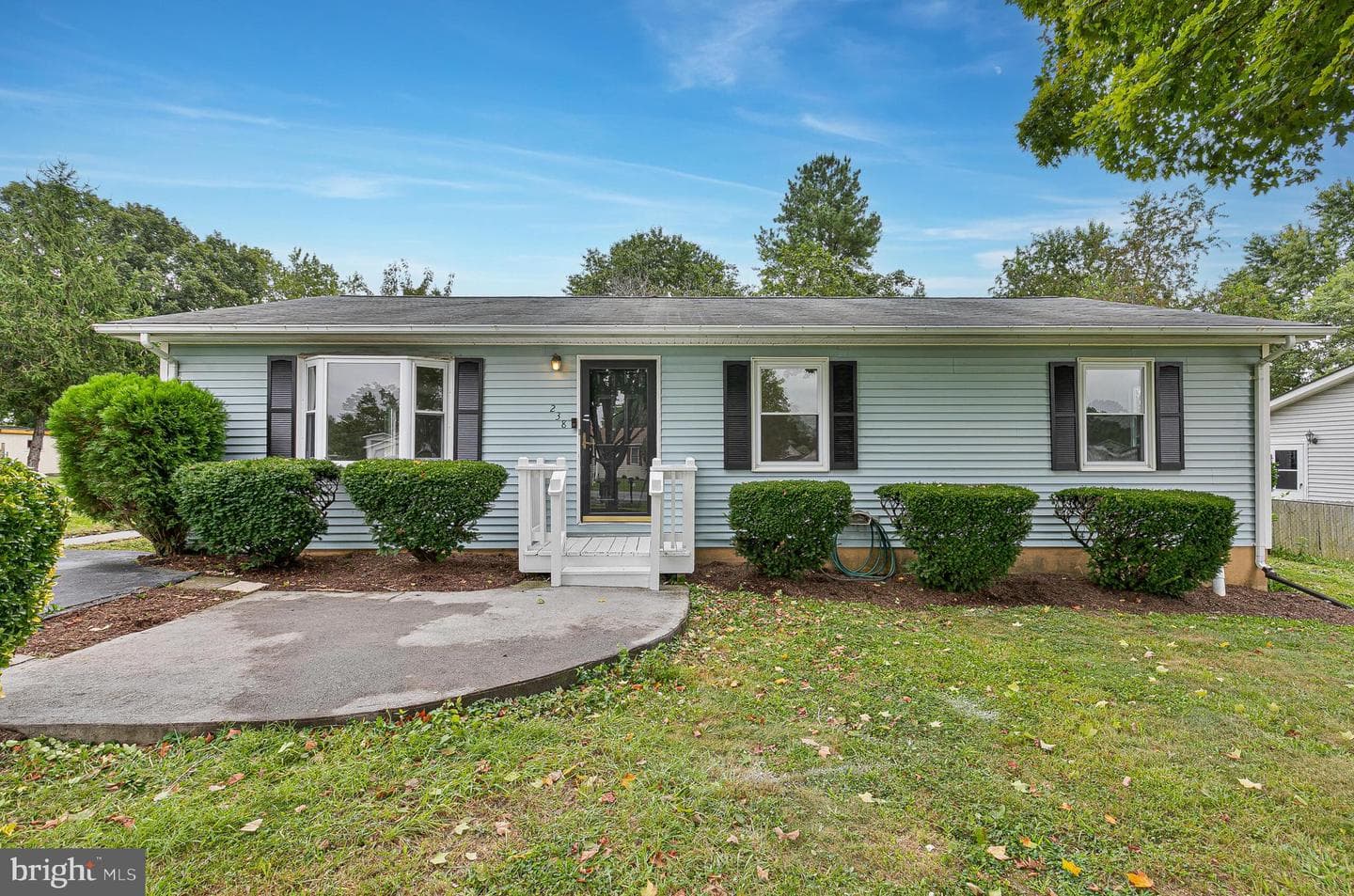 238 Hackberry Drive photo 2