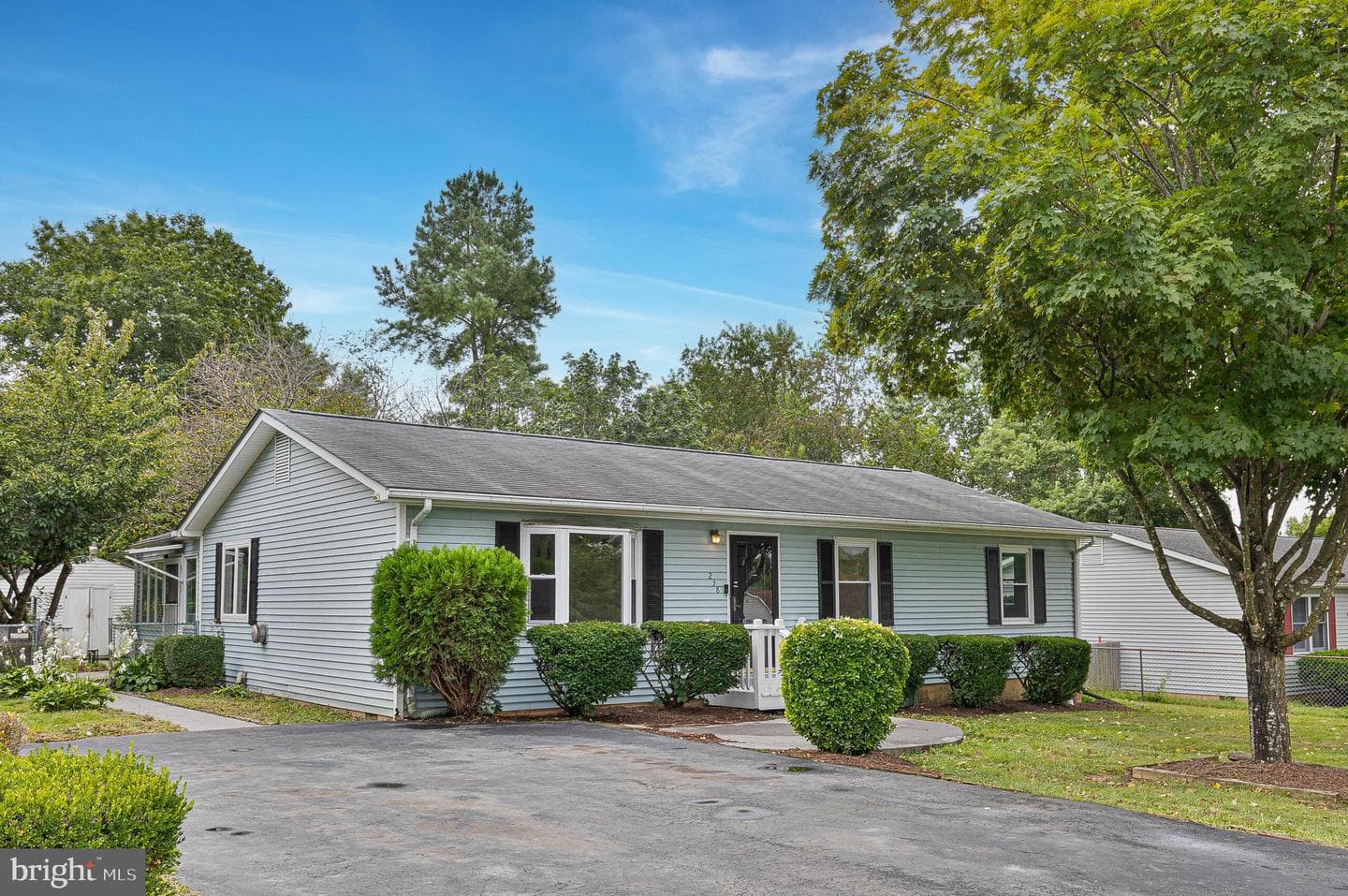 238 Hackberry Drive photo 3