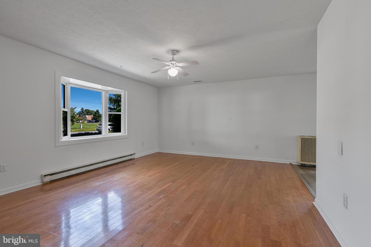 238 Hackberry Drive photo 4
