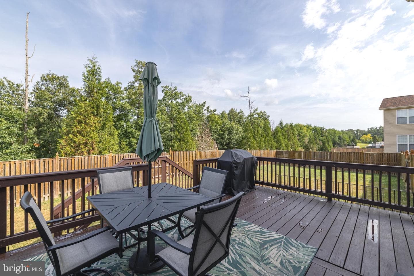 144 Cedar Mountain Drive photo 13