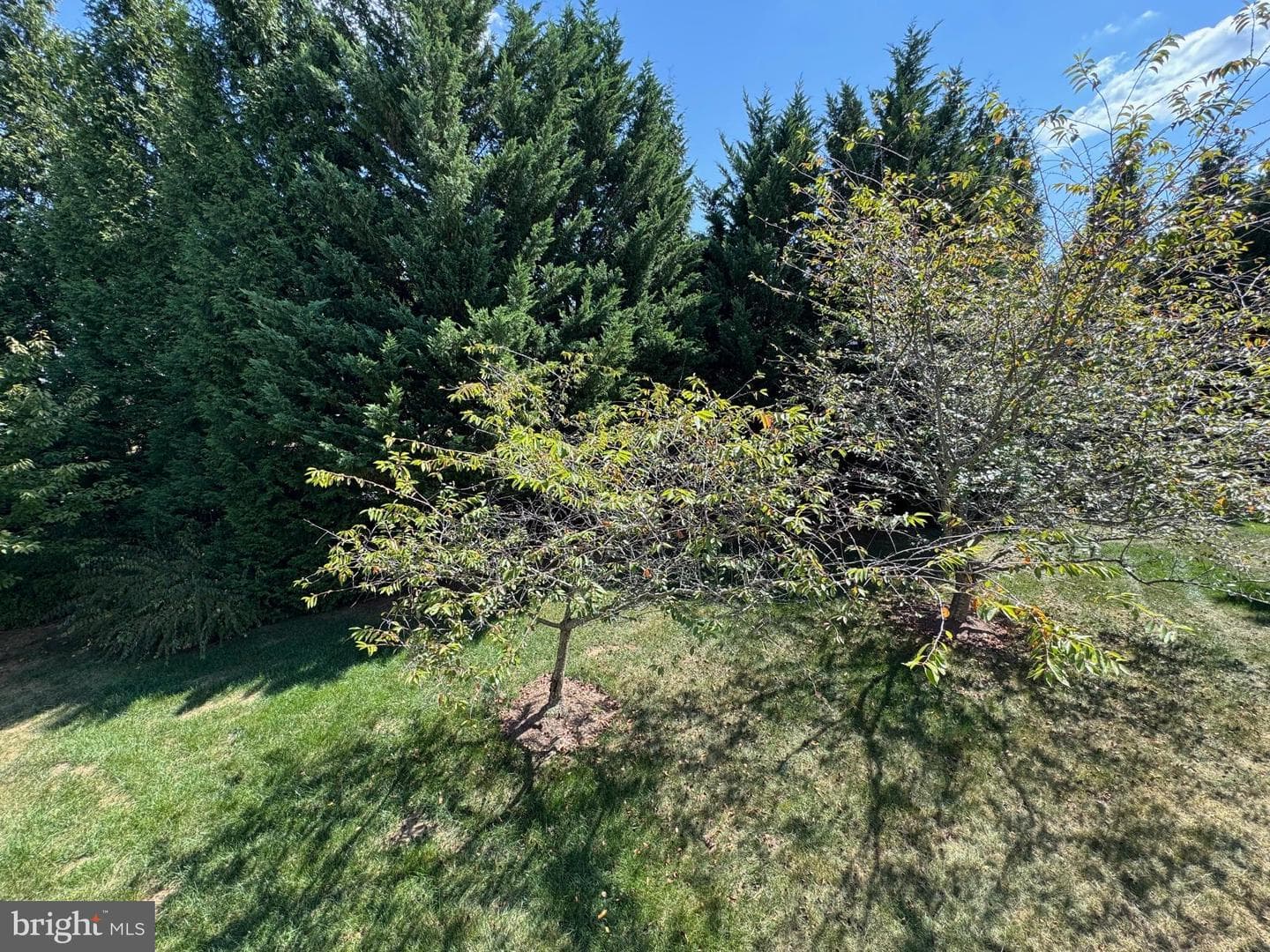 150 Harvest Ridge Drive photo 39