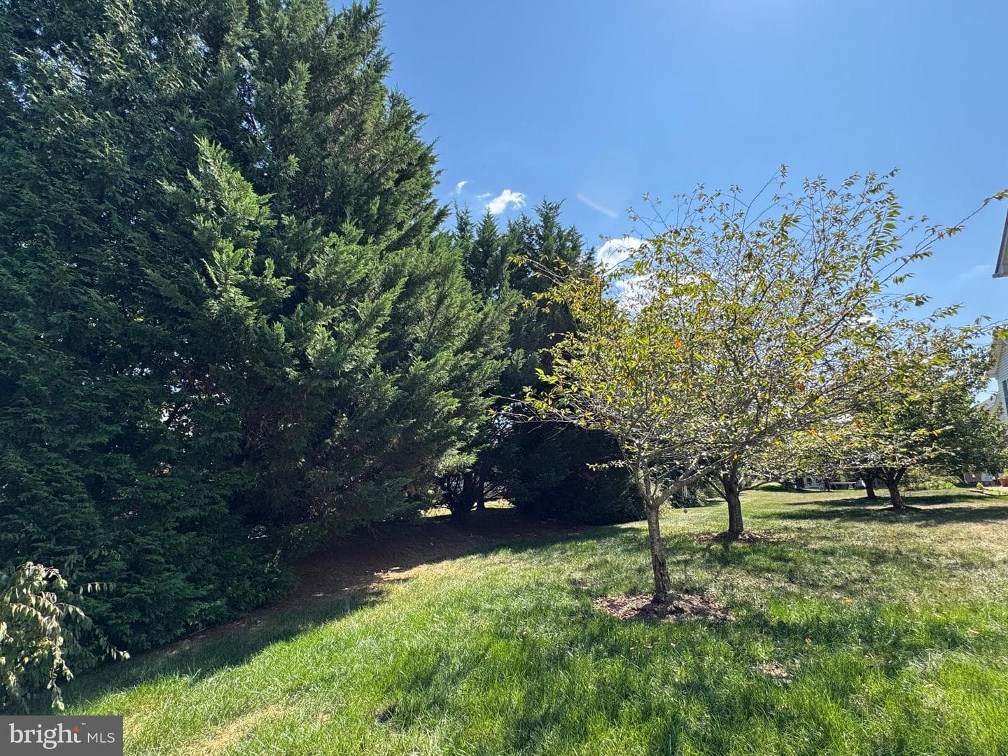 150 Harvest Ridge Drive photo 55