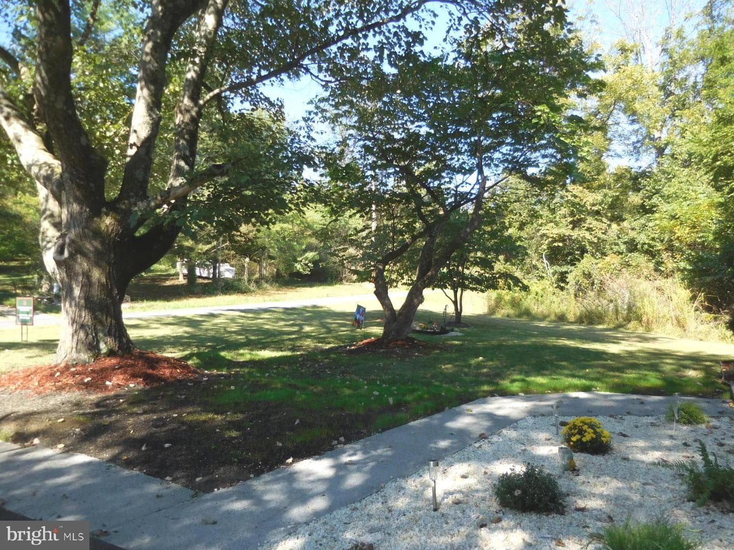 230 Shenandoah Trail photo 3