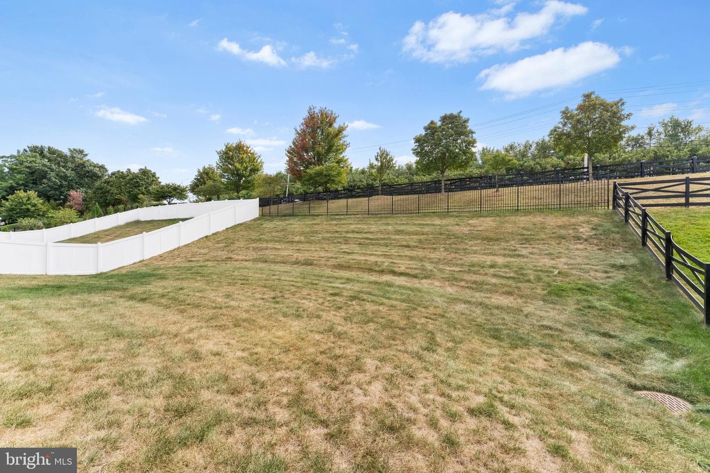 114 Harold Court photo 42