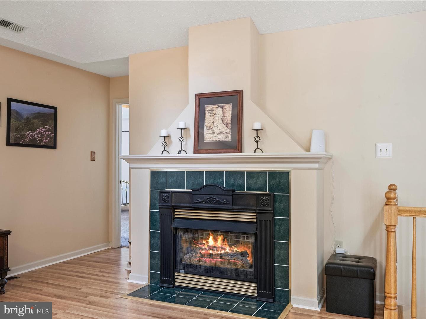 202 Senseny Glen Drive photo 13