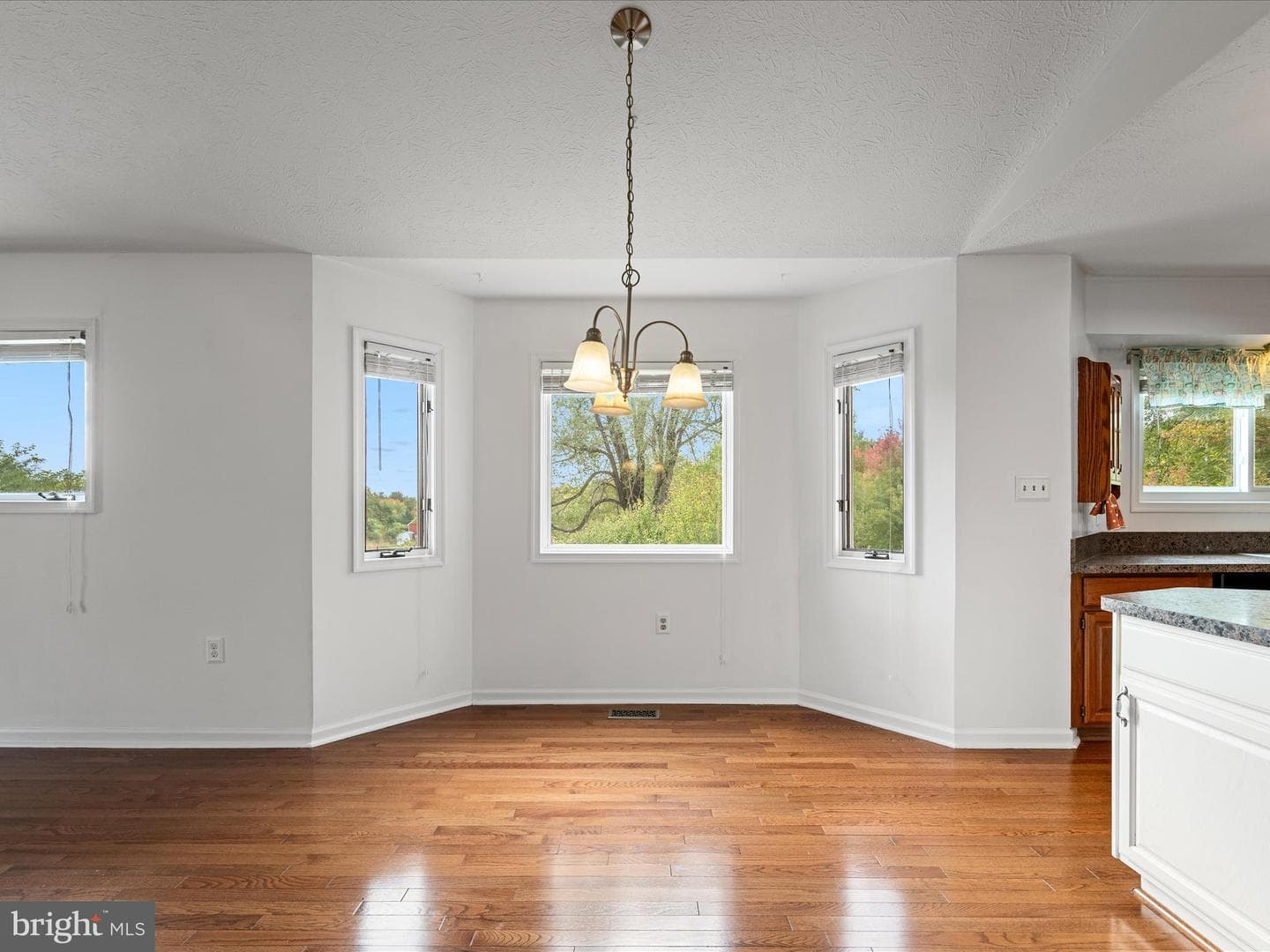 252 Punkin Ridge Drive photo 43