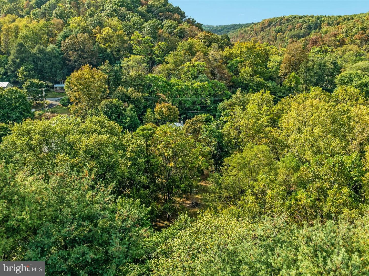 141 Back Creek Road photo 49