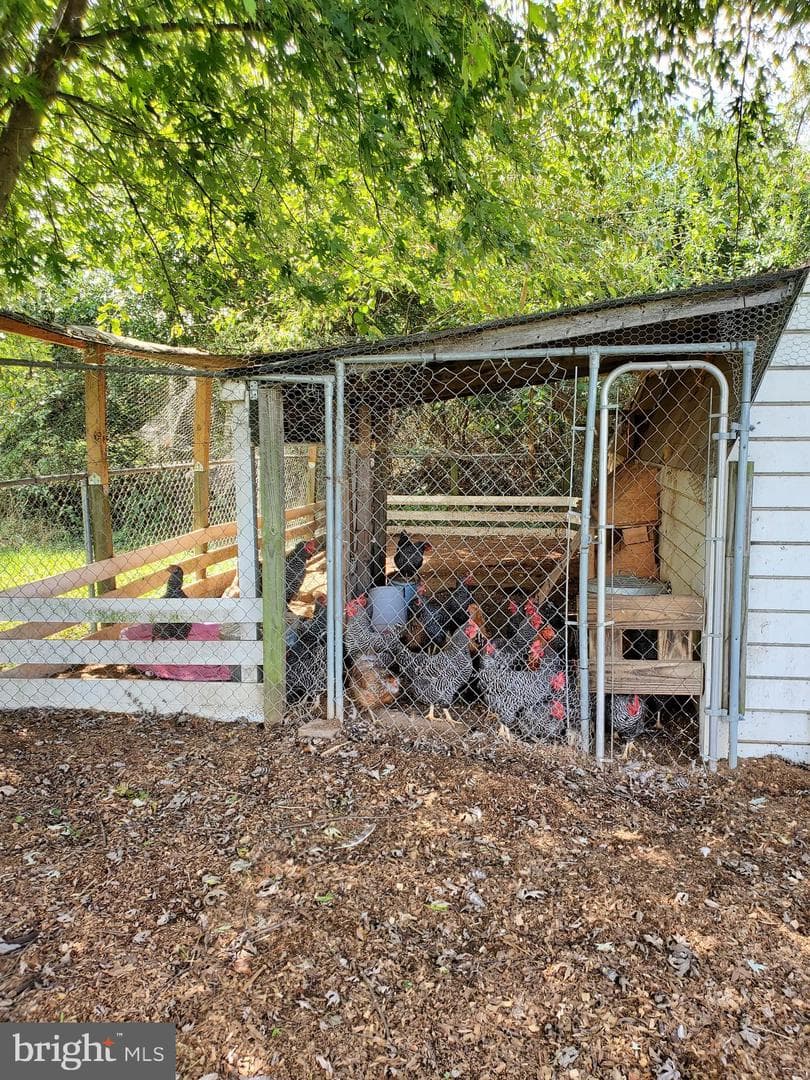 371 Ruebuck Road photo 17